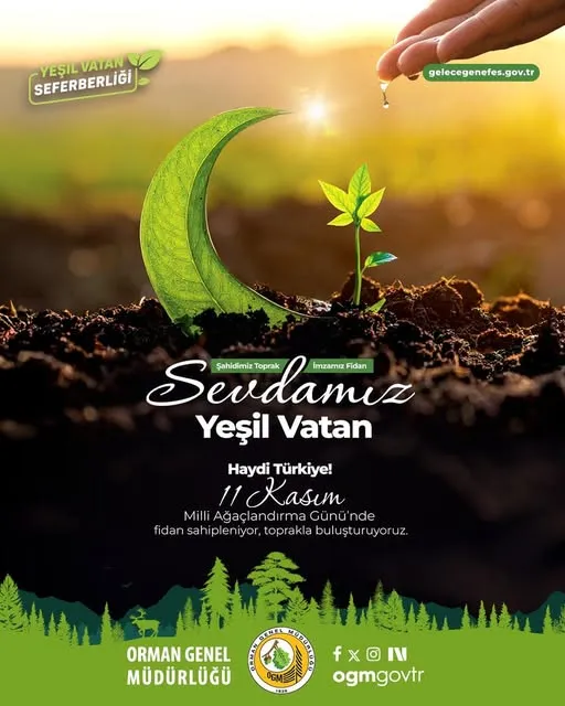 11 Kasım