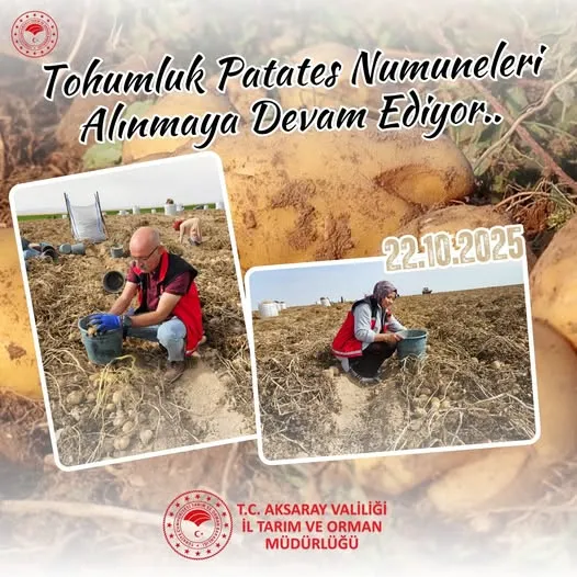 Aksaray