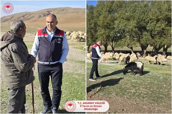 Yol Kenarında Karşılaşılan Çobanla Sohbet Gerçekleşti