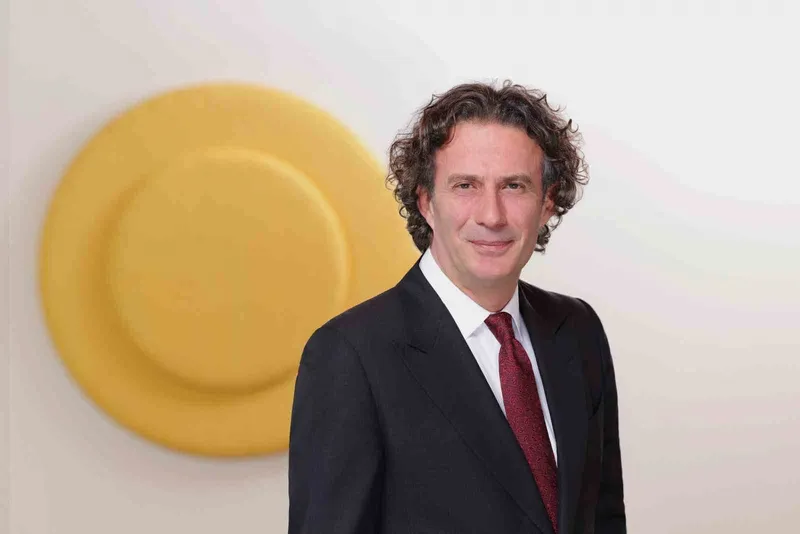 Enerjisa Enerji 2025