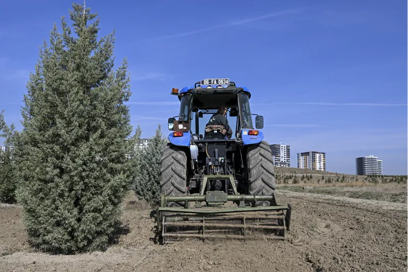 Ağaçlandırma Seferberliği