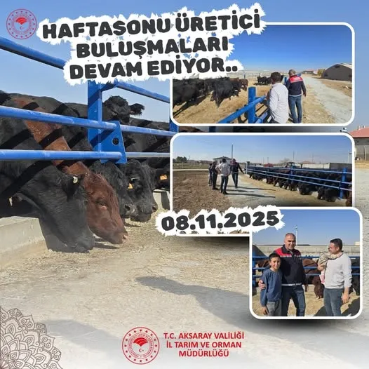 Aksaray’da “Kırsalda Bereket” Projesiyle Hayvancılığa Destek Sürüyor