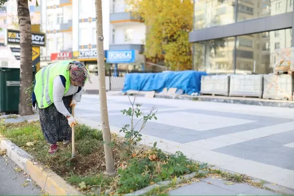 Atatürk Bulvarı’nda Temizlik ve Peyzaj Seferberliği Başladı