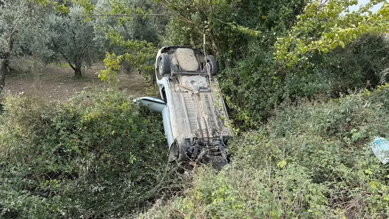 Sollama Yaparken Zeytinliğe Uçtu: Sürücü Yaralandı