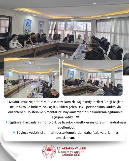 Aksaray’da Holstein ve Simental Irkı Hayvanlarda Tip Sınıflandırma Eğitimi Başladı