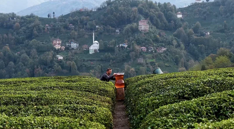 Dev Çay Bardağıyla Çekilen Video Yapay Zeka Sanıldı