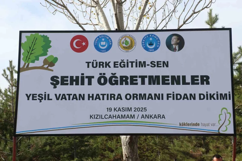 Türk Eğitim-Sen Genel Başkanı Geylan: 