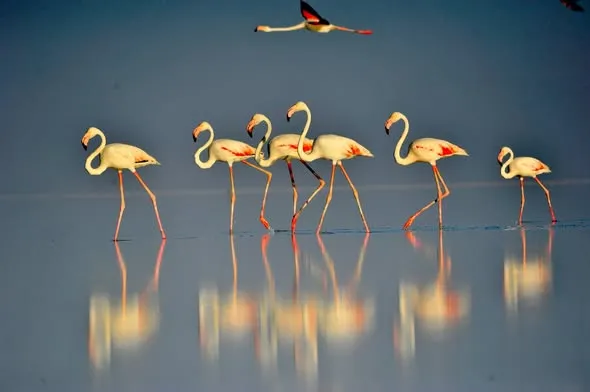 Tuz Gölü’nün Sonbahar Manzaraları Aksaray’dan Göz Kamaştırıyor