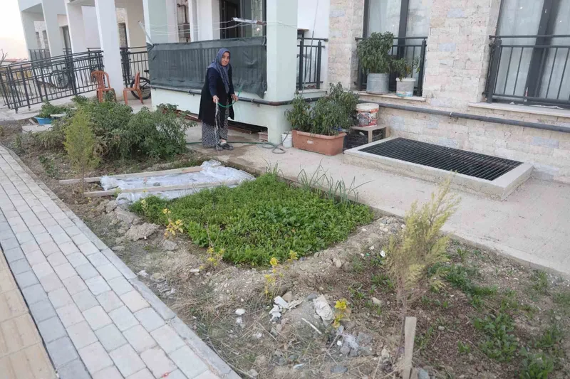 Depremzede Gülfidan Çatlak yeni evinin bahçesini sebzelerle donattı