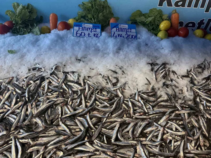Hamsi Fiyatlarında Sevindiren Düşüş: Kilosu 60 Liraya Geriledi