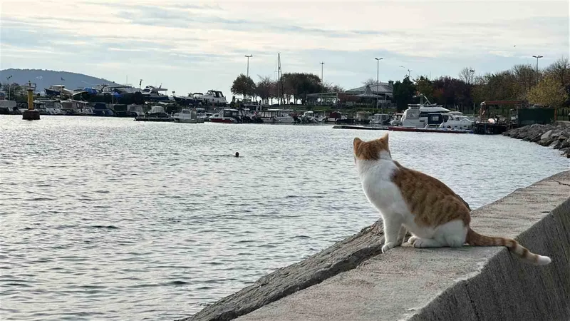 Kartal’da Soğuk Deniz Keyfi: İki Arkadaş Kışın Tadını Çıkarıyor