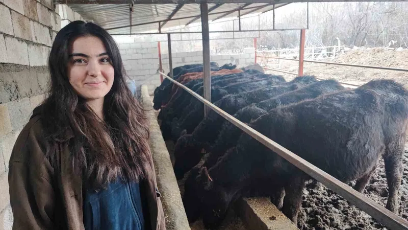 Atama Beklerken Hayvancılıkta Yeni Bir Yol