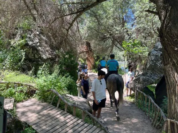 Atlı Jandarma Timlerimiz,