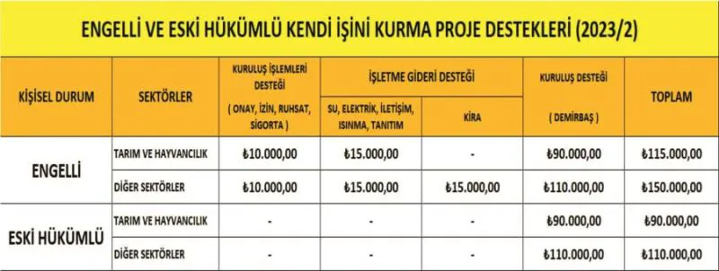 HANGİ MALİYETLER DESTEKLENECEKTİR?