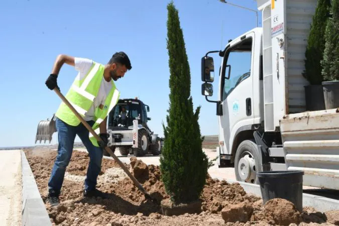 YENİ ŞEHİR MEZARLIĞI VE KÜLLİYESİNDE AĞAÇLANDIRMA VE PEYZAJ ÇALIŞMALARI BAŞLADI