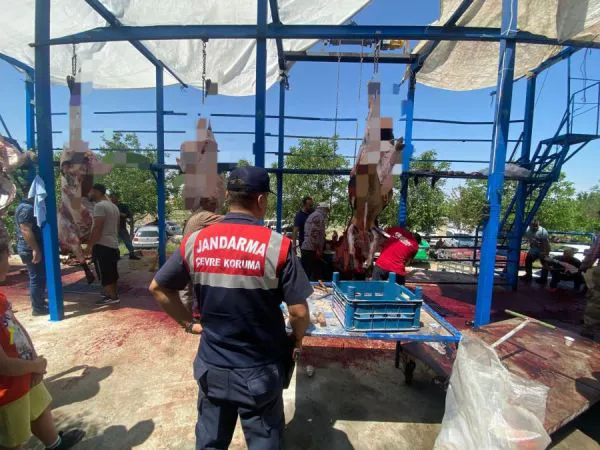 Huzur ve güven içerisinde bir Kurban Bayramı geçirmelerini sağlamak