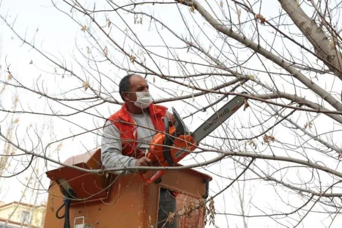 AKSARAY BELEDİYESİ YEŞİL ALANLARDA BAKIM ÇALIŞMASI BAŞLATTI