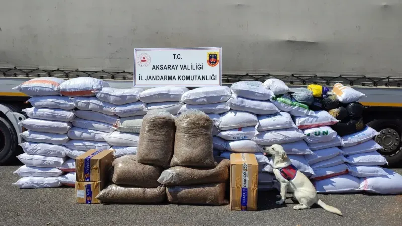 Kıyılmış Tütün Operasyonu