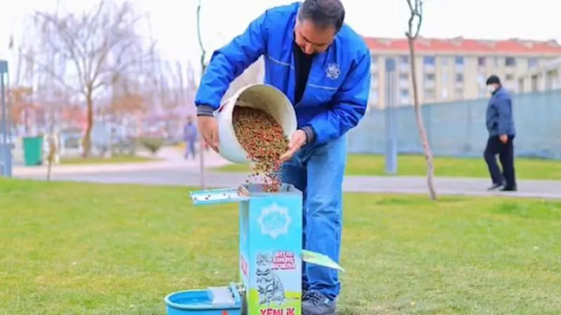Aksaray Belediyesi’nden Sokak Hayvanlarına Mama Desteği