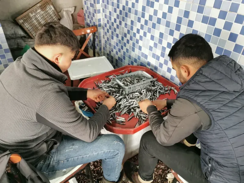 Balıkçılar Evde Balık Temizleme Ve Pişirme Derdine Son Verdi