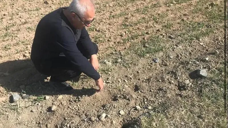 Tarla Faresi ile Mücadelede Sürvey Çalışması Başlatıldı