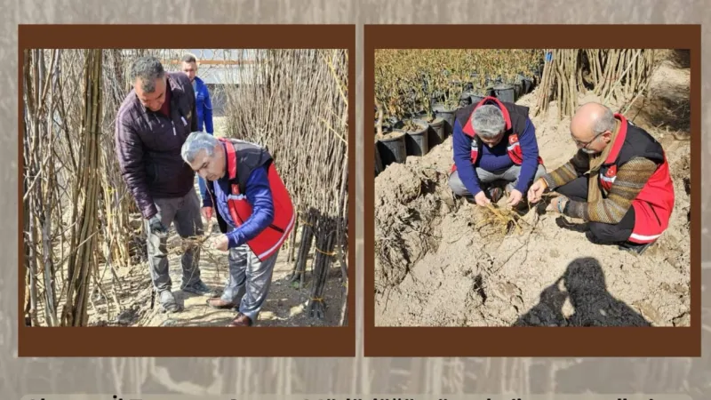 Aksaray’da Fidan Satış Noktalarında Denetimler Başladı