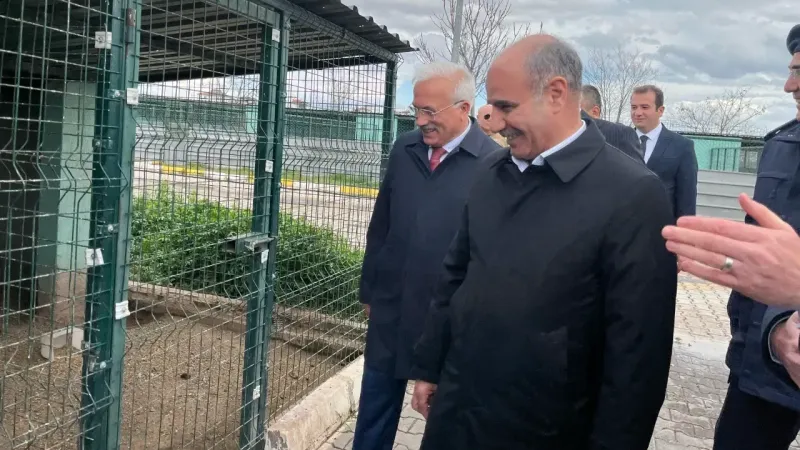 81 İlde Sokak Hayvanları Toplanacak