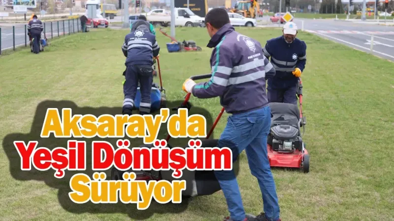 Ağaçlandırma Çalışmaları Tüm Hızıyla Devam Ediyor