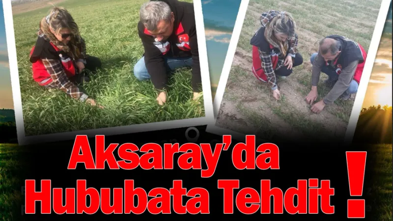 Aksaray’da Hububat Tarlalarında Yabancı Ot Denetimi Yapıldı