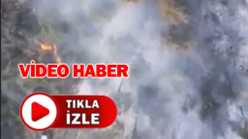 Çam Fıstığı Ağaçlarının Bulunduğu Alanda Yangın: 2 Hektar Zarar Gördü