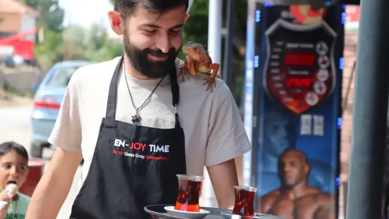 Ökkeş’in Renkli Hikayesi: Beşiktaş Maçlarına Giden İguana “Ökkeş”