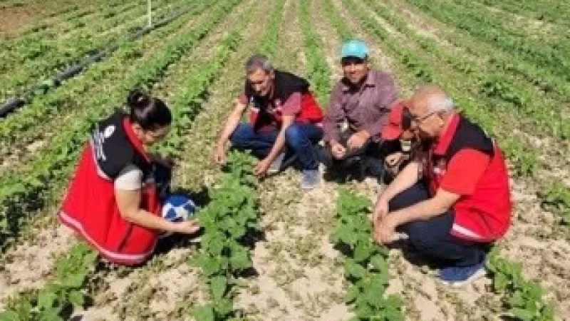 Aksaray’da Tahıl Ürünlerinde Kalite Kontrolleri Hız Kesmeden Devam Ediyor