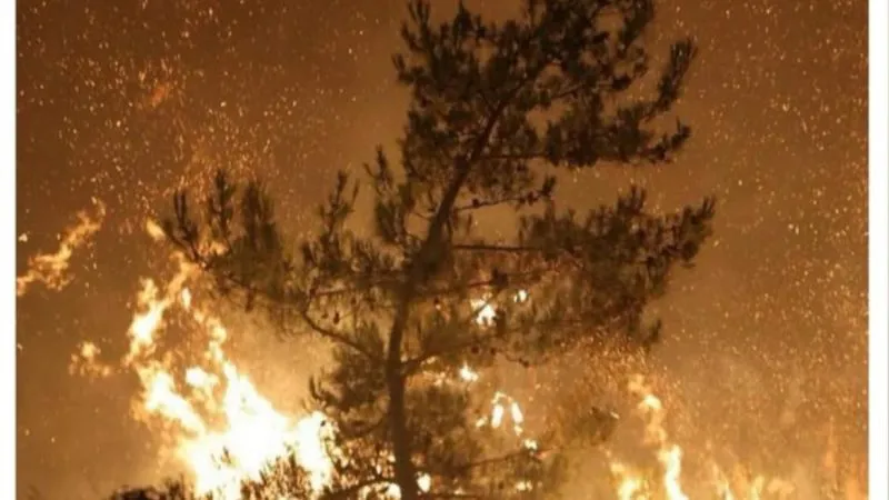 Orman Yangınları Hakkında Manipülatif Paylaşım Yapan 13 Hesap İçin İşlem Başlatıldı