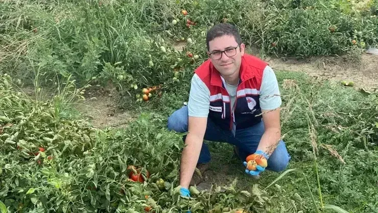 Edirne Keşan’da Domateslerde Hasat Öncesi Pestisit Denetimi