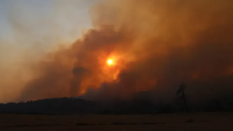 Çanakkale’de Orman Yangını: 126 Kişi Tahliye Edildi