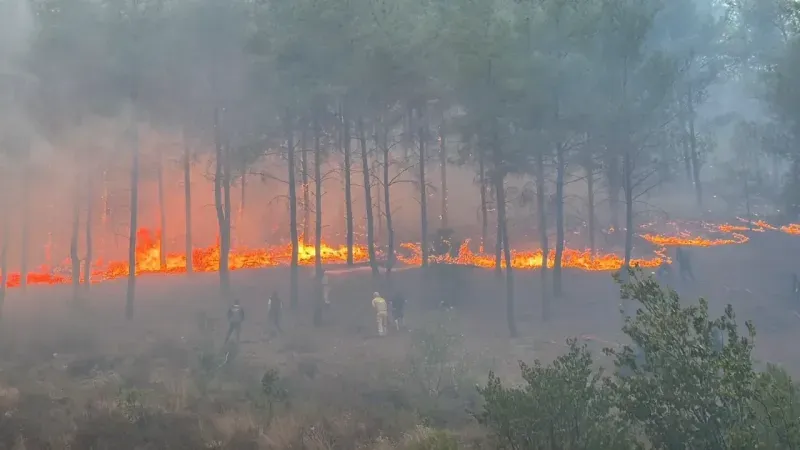 Köyceğiz’de Gece Başlayan Orman Yangını: 108 Ev Tahliye Edildi
