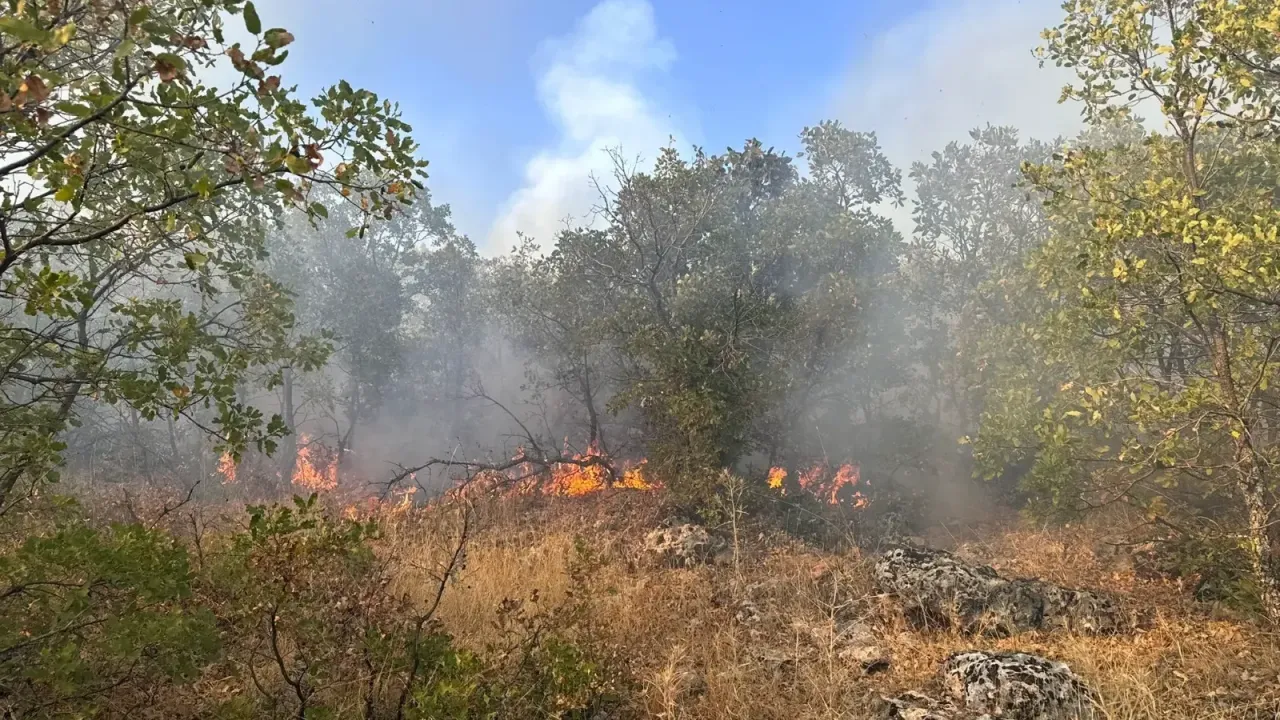 Diyarbakır’da Örtü Yangını 7 Saatte Söndürüldü