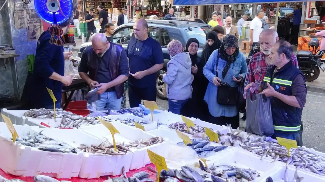 Samsun’da Hamsi Bolluğu: Fiyatlar Yarıya Düştü, Tezgahlarda Yoğun İlgi