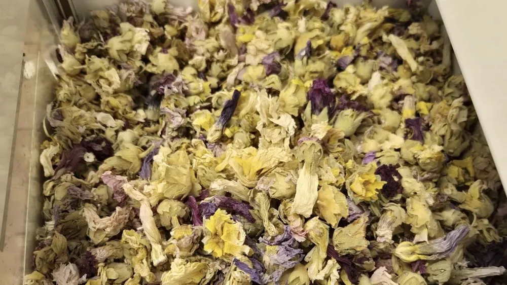 Kışa Doğal Hazırlık: Zencefil, Propolis ve Kara Mürver Ürünlerine Yoğun İlgi